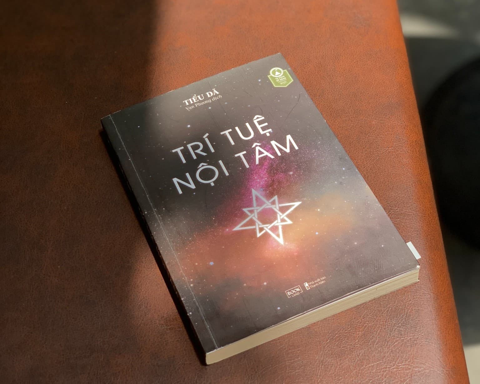 Review sách: Trí tuệ nội tâm