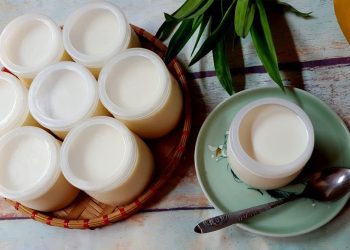 Cách làm sữa chua tại nhà bằng sữa tươi