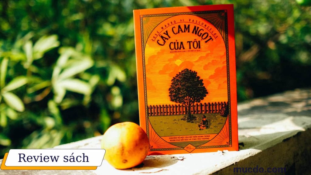 Review sách Cây cam ngọt của tôi - Cuốn tự truyện đầy cảm động, tuy đớn đau nhưng vẫn ngập tràn tình yêu thương 1 Review sách Cây cam ngọt của tôi