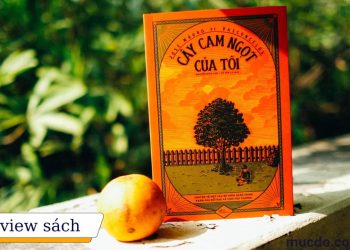 Review sách Cây cam ngọt của tôi – Cuốn tự truyện đầy cảm động, tuy đớn đau nhưng vẫn ngập tràn tình yêu thương