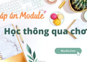 Đáp án module học thông qua chơi