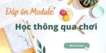 Đáp án module học thông qua chơi
