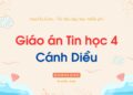 Giáo án, bài giảng Tin học 4 Cánh Diều cả năm Giáo án, bài giảng Tin học 4 Cánh Diều cả năm